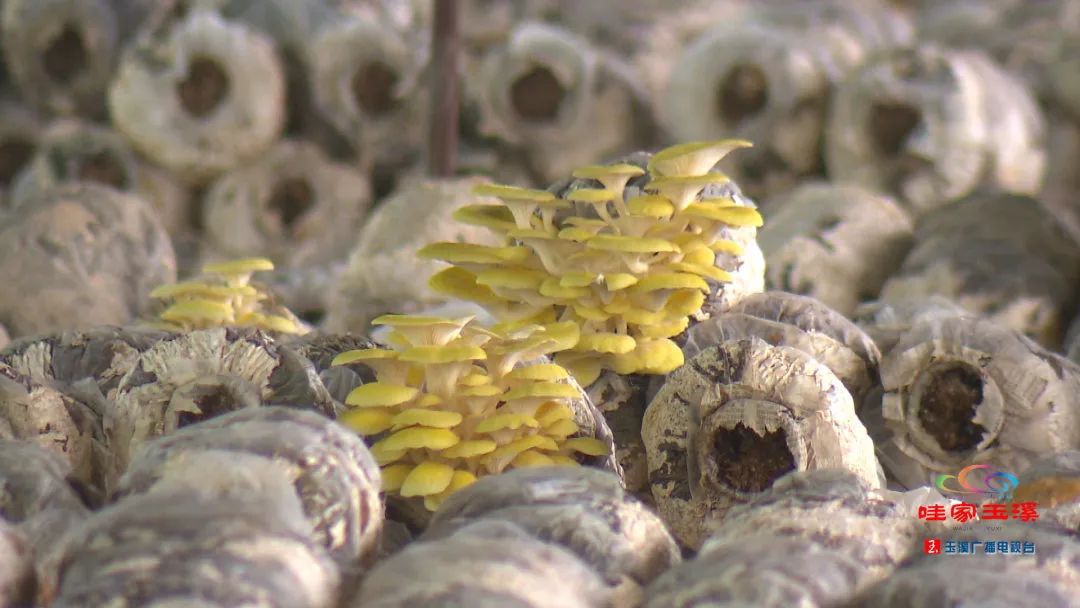 一线调研看发展,一线走访调研