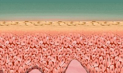 收缩毛孔粗大的方法,脸毛孔粗大的正确护肤方法