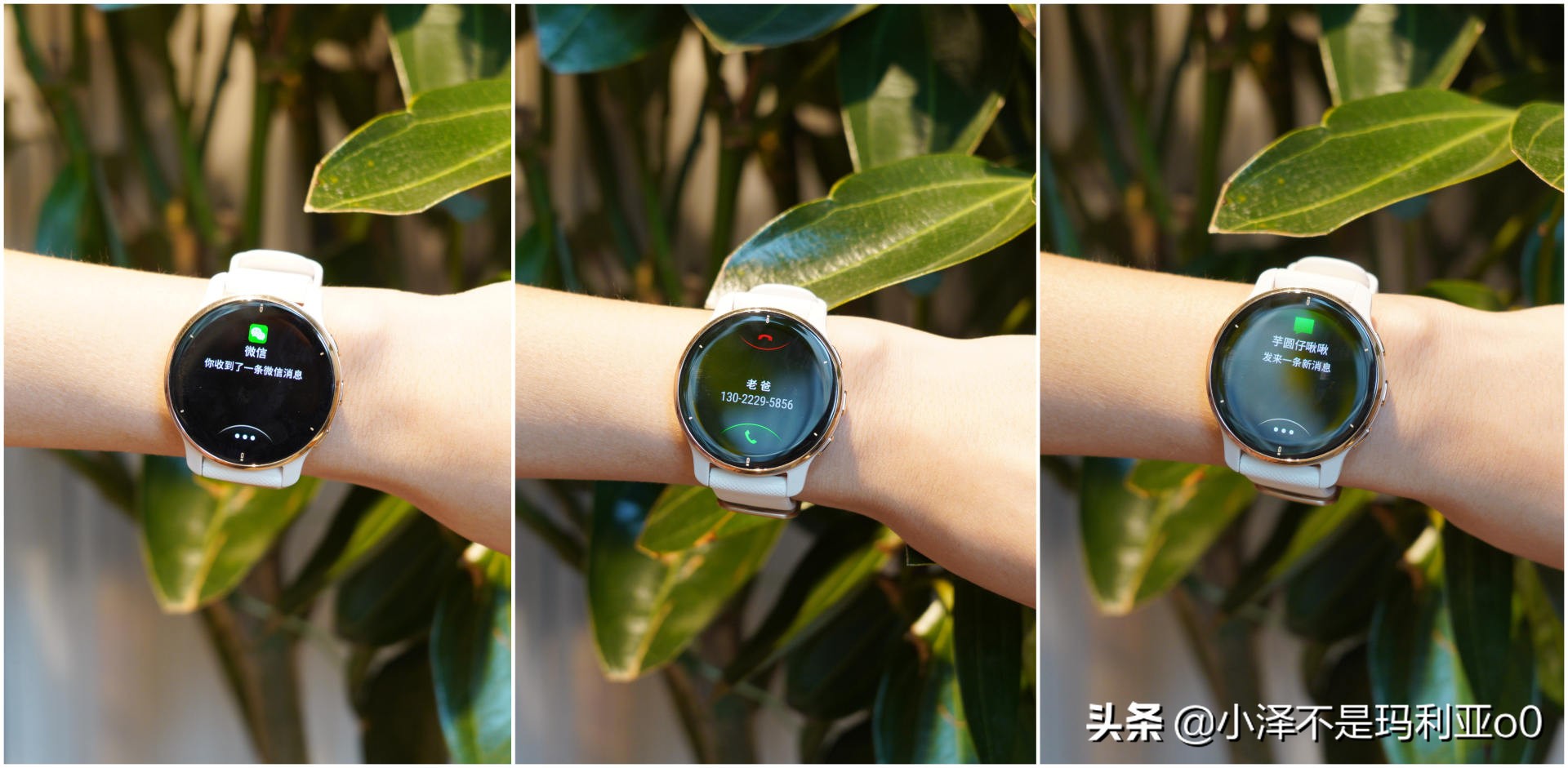 佳明venu2plus和苹果watch8怎么选 (买佳明5还是买applewatch2)