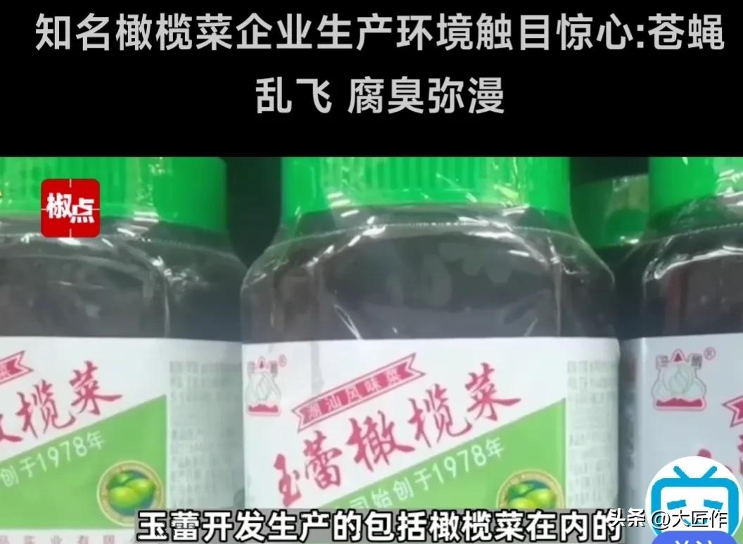 汕头的橄榄菜都是有问题的吗,汕头橄榄菜工厂视频