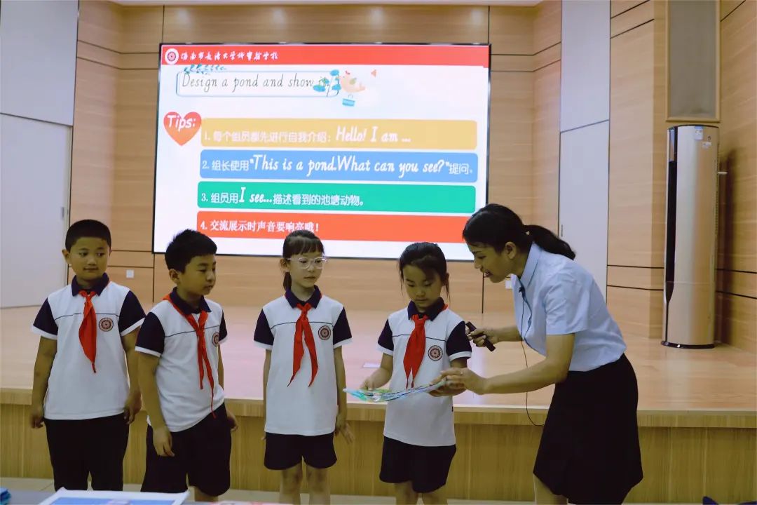 小学中年级英语教学经验交流,小学入门级英语教学