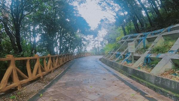 凤凰山绿道开放时间,凤凰山绿道全长多少公里