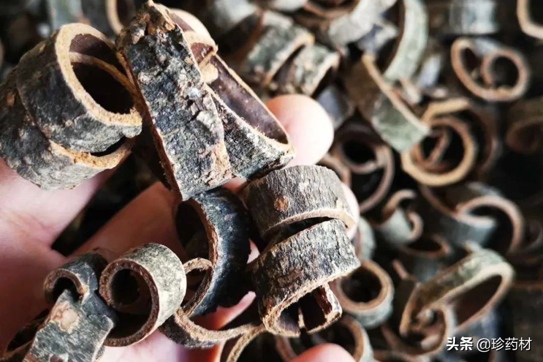 药材三黄种植前景与价格,三木药材前景