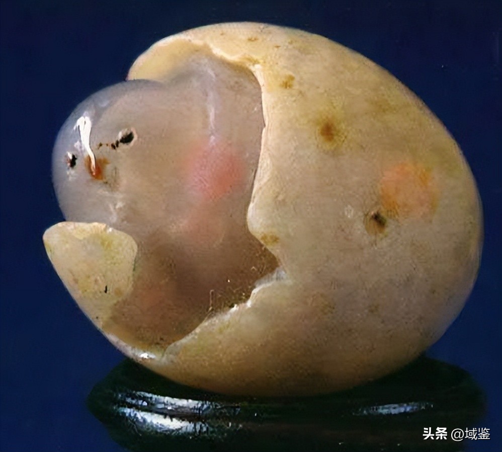 石头也疯狂图片大全,石头也疯狂靠谱吗