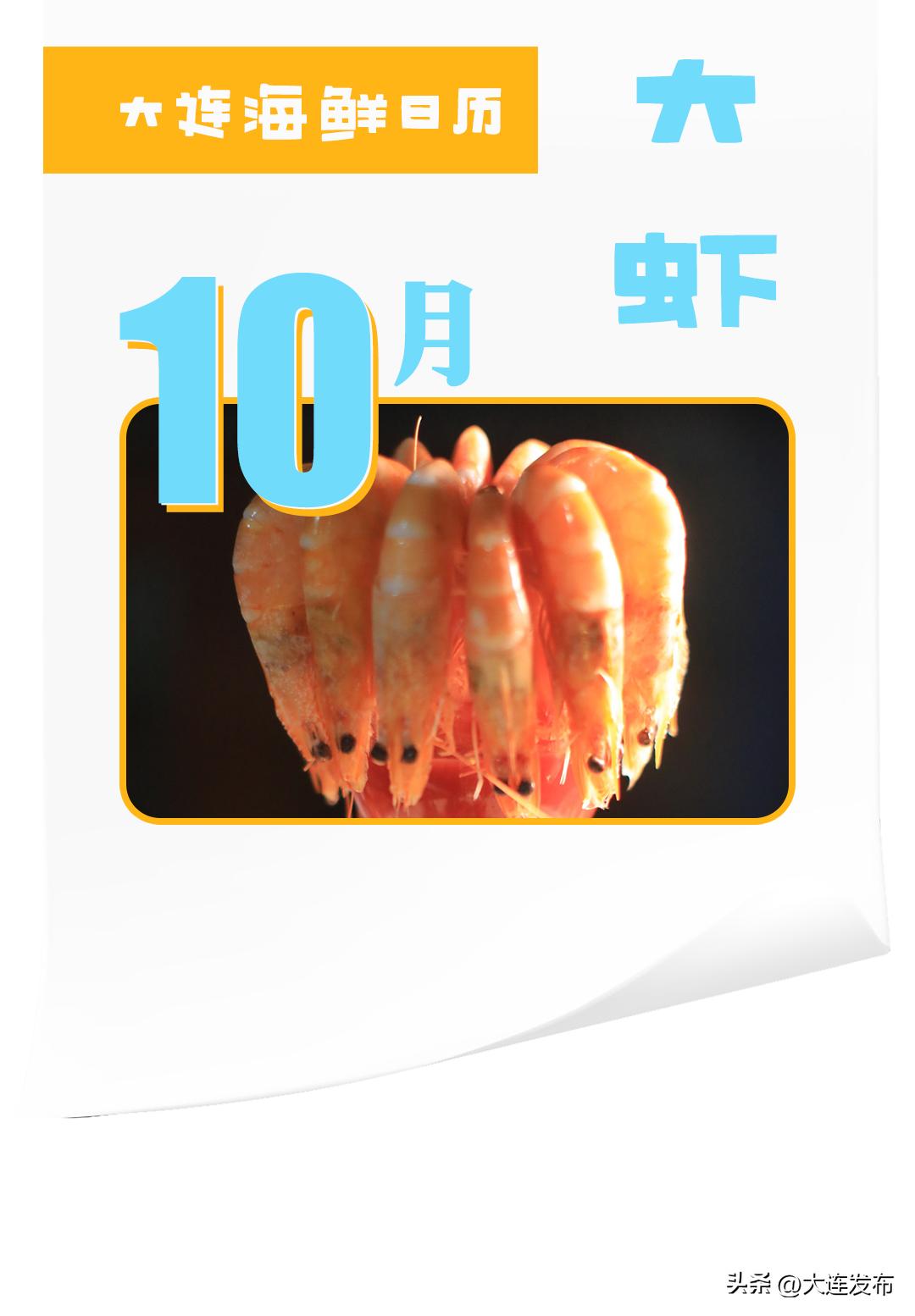 实现海鲜自由的秘诀,实现海鲜自由另一种说法