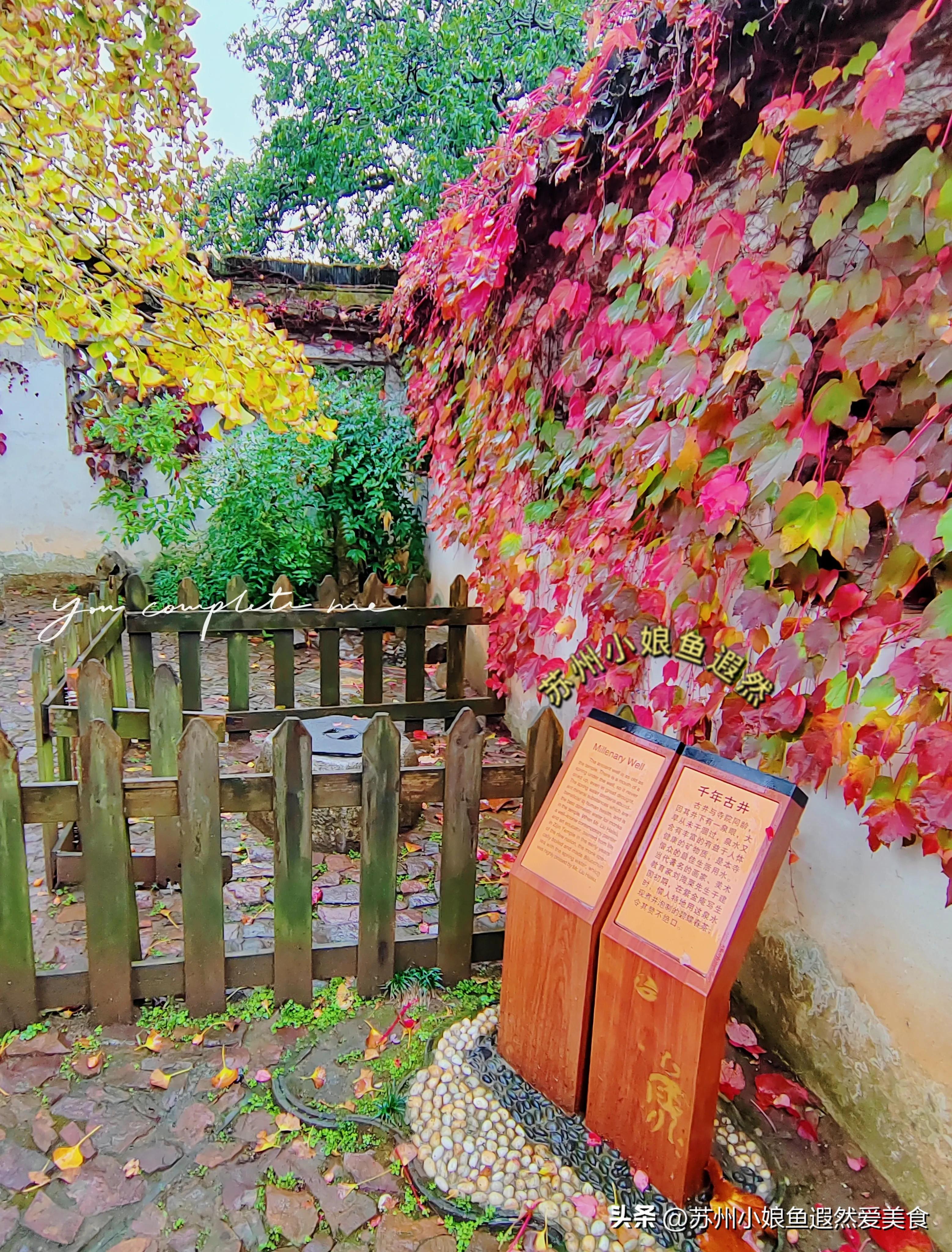 苏州一日游攻略探索更好玩的景点,苏州一日游景区推荐