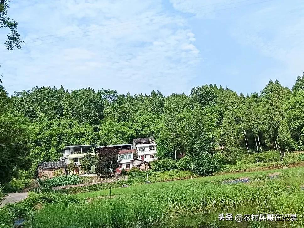 龚大,退休的年纪,找陈哥帮忙,说话却不经考量,但李哥可不由着他！