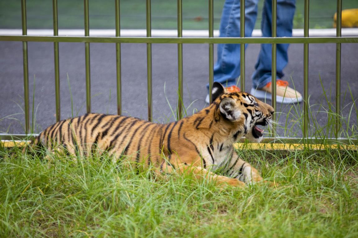 探秘韶关,魅力韶关之旅