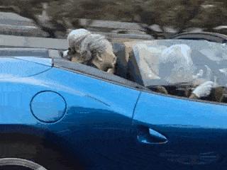 杭州最美老板娘视频,最美老板娘网友连夜赶往现场