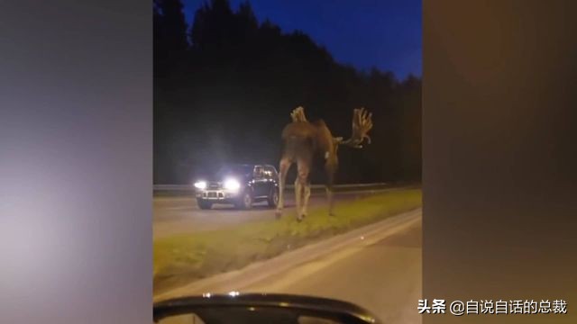 超级血液代表着什么,超级血液是啥