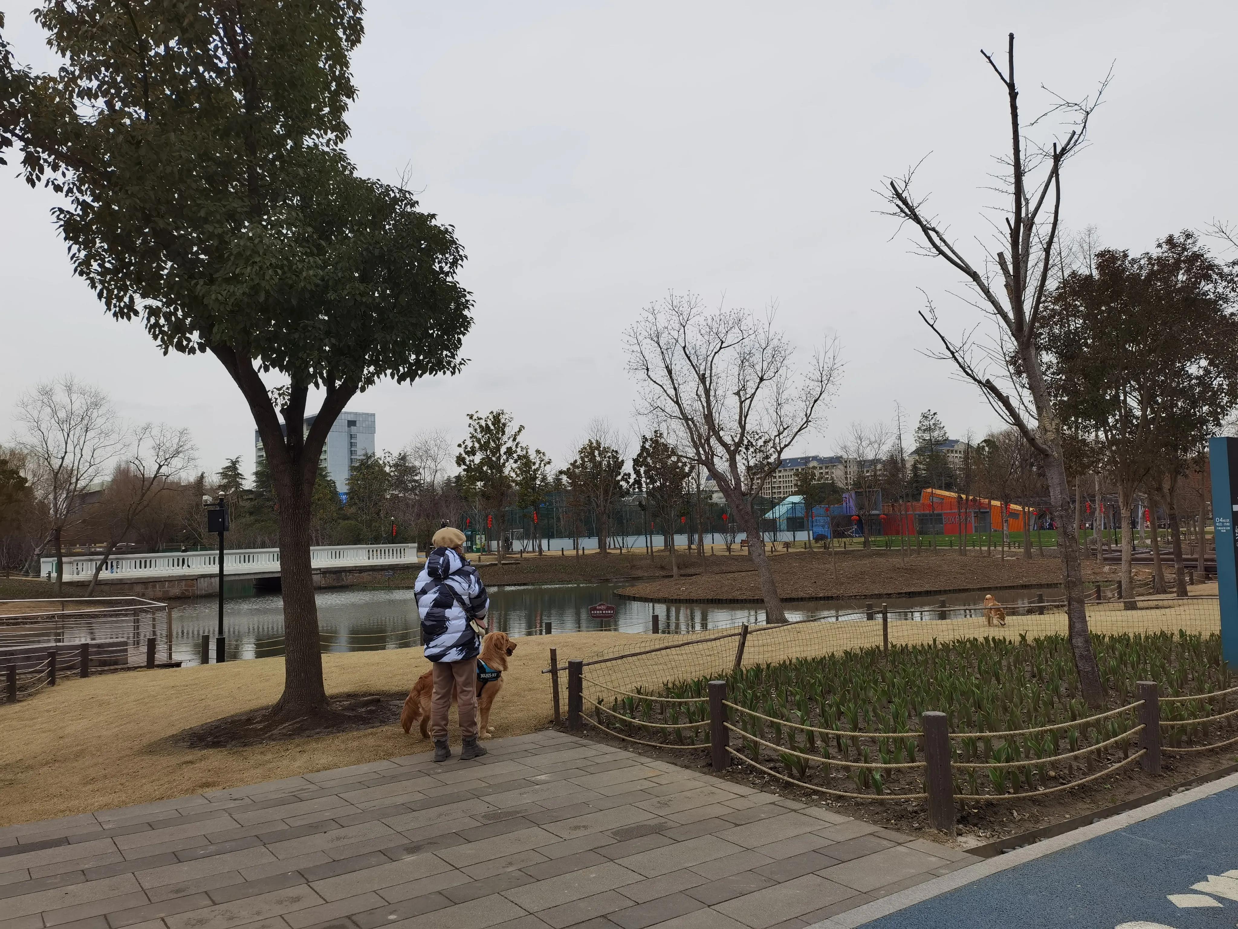 上海松江方松体育公园最新消息,上海浦东运动公园