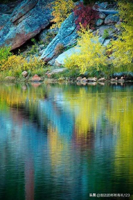 难得一见绝美一清二楚郁金香壁纸,难得一见雪景壁纸