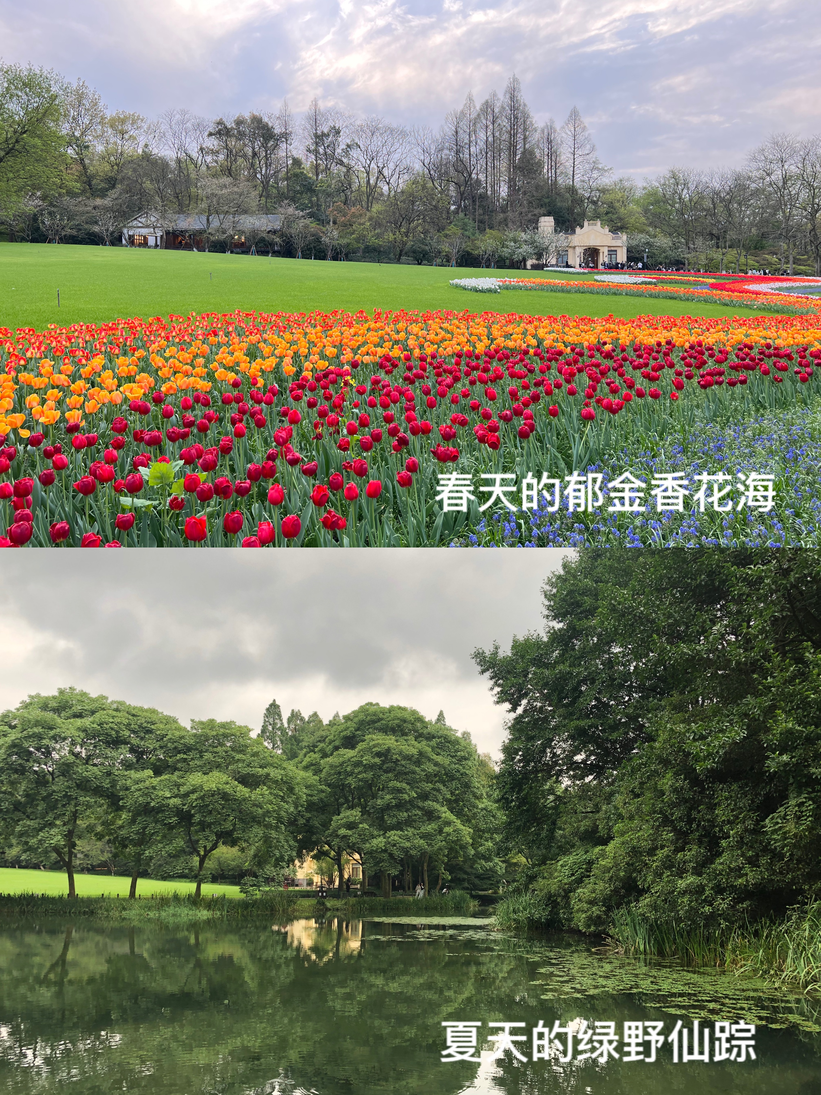 杭州钱塘江观潮最佳景点,杭州有哪些旅游景点好玩