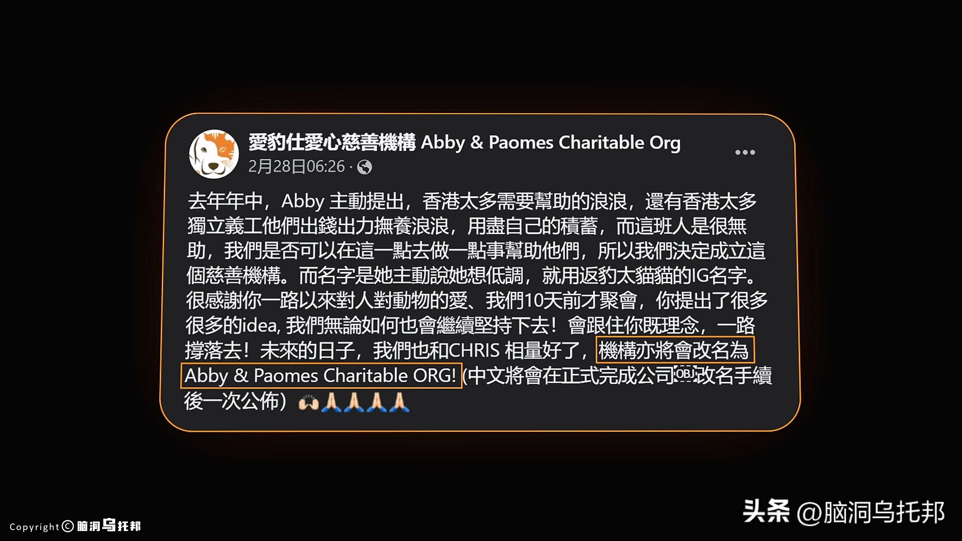 名媛案件过程,名媛碎尸案来龙去脉