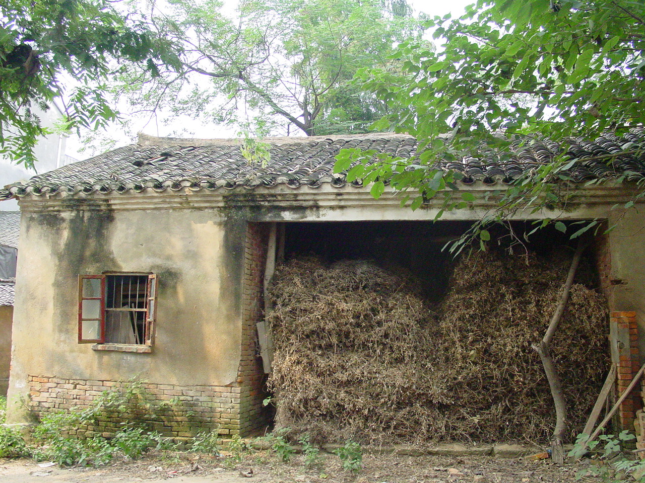 一个厚脸皮不要脸的人,一个自卑的学生