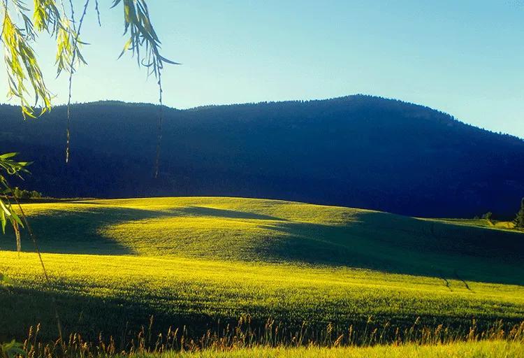 笔画简单寓意好的女孩名字,12笔画女孩名用的字