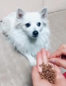 女厕的诡异之处,女厕所发现怪异男尸