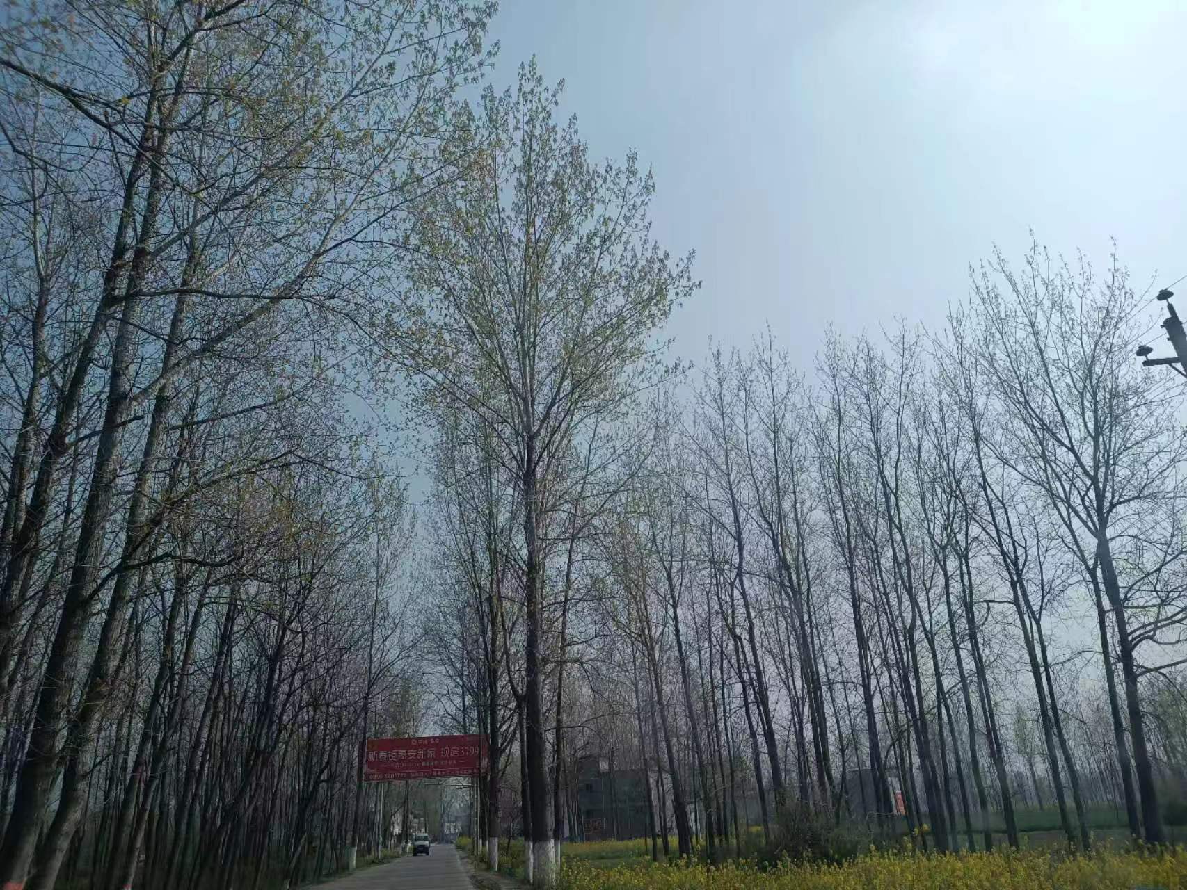 人烟繁盛的豫东南新蔡县，如何有个“野里”？