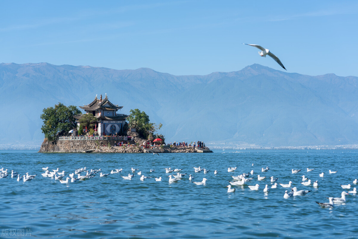 中医前列腺炎古方秘方,尿急尿频前列腺炎吃什么药