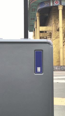 行李箱全铝的好还是pc的好,买行李箱是买铝框款还是拉链款