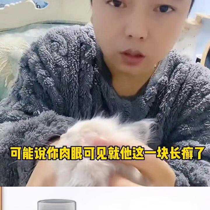 猫咪沐浴露防猫癣推荐,猫咪猫癣消毒喷雾家用推荐