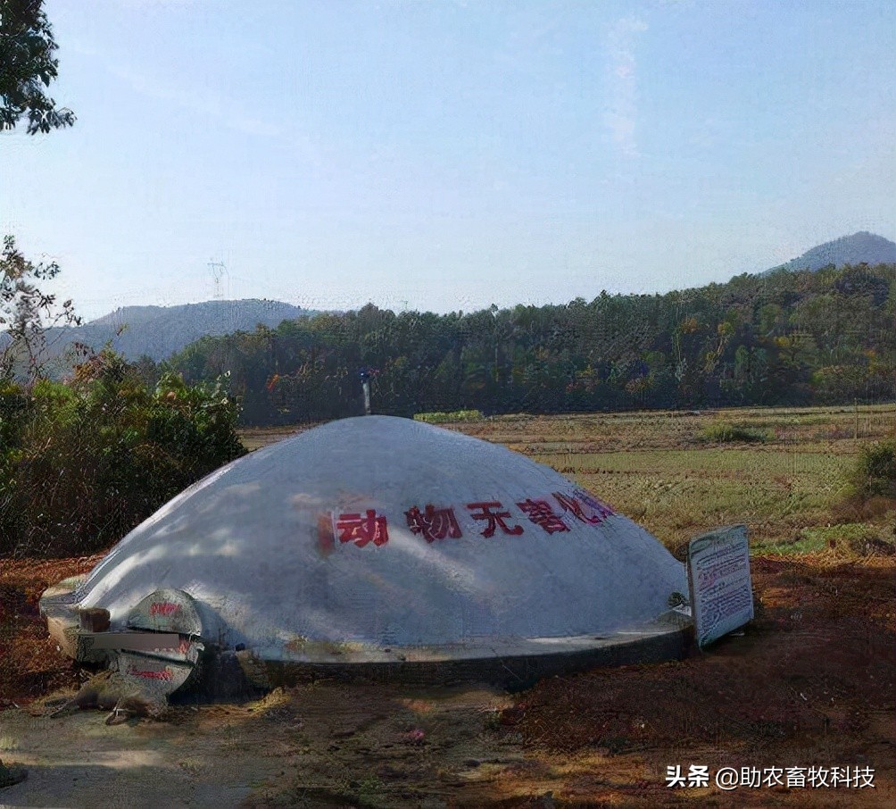 病死动物无害化处理实现全覆盖,宁夏病死动物无害化处理实施方案