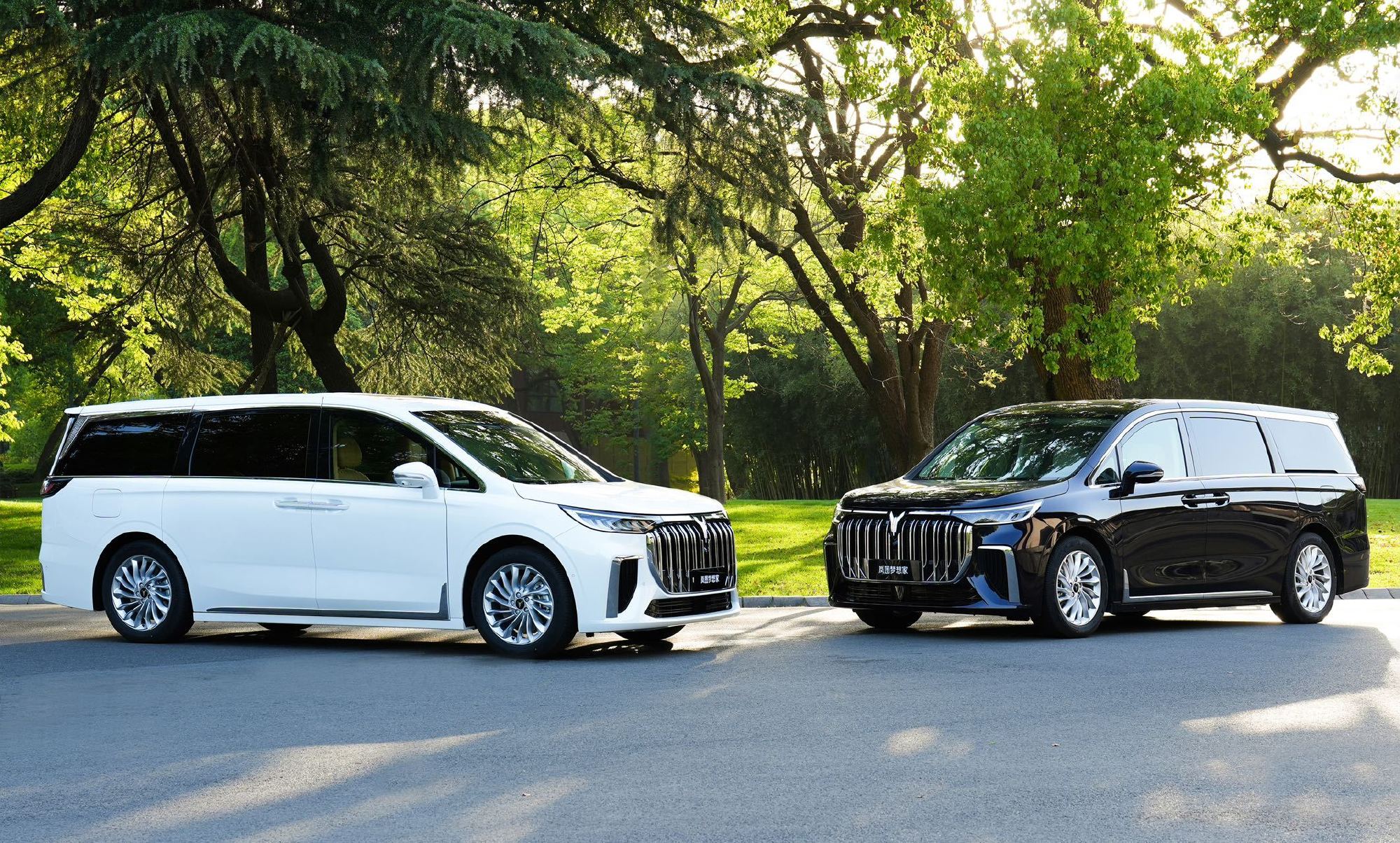 岚图梦想家mpv插电混动深度试驾,新款岚图梦想家mpv混动版值得买吗