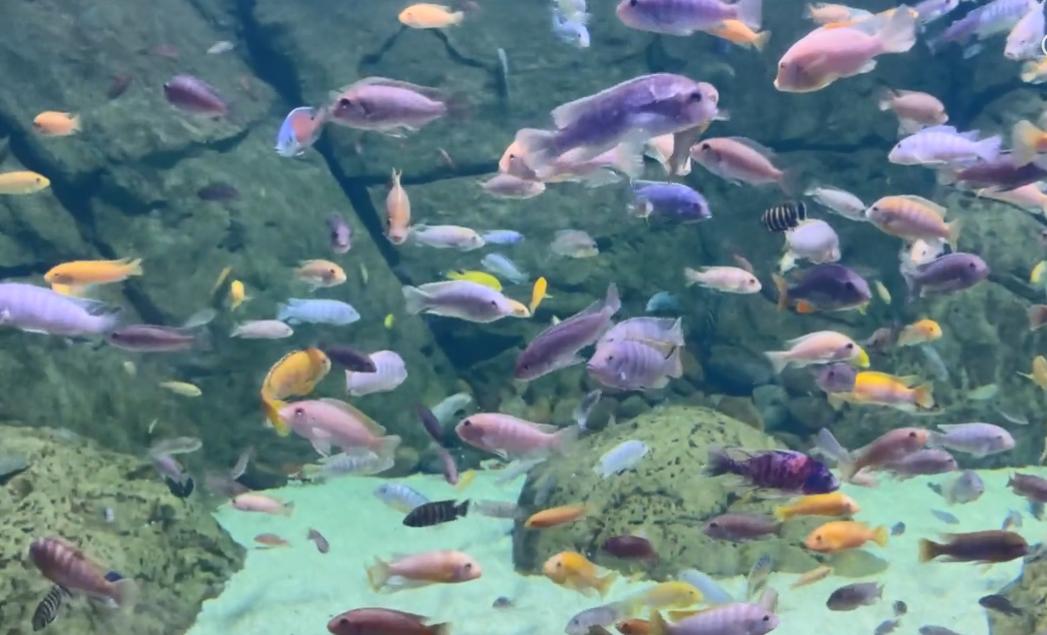 郑州有哪些值得游玩的景点推荐,郑州值得去的旅游景点有哪些