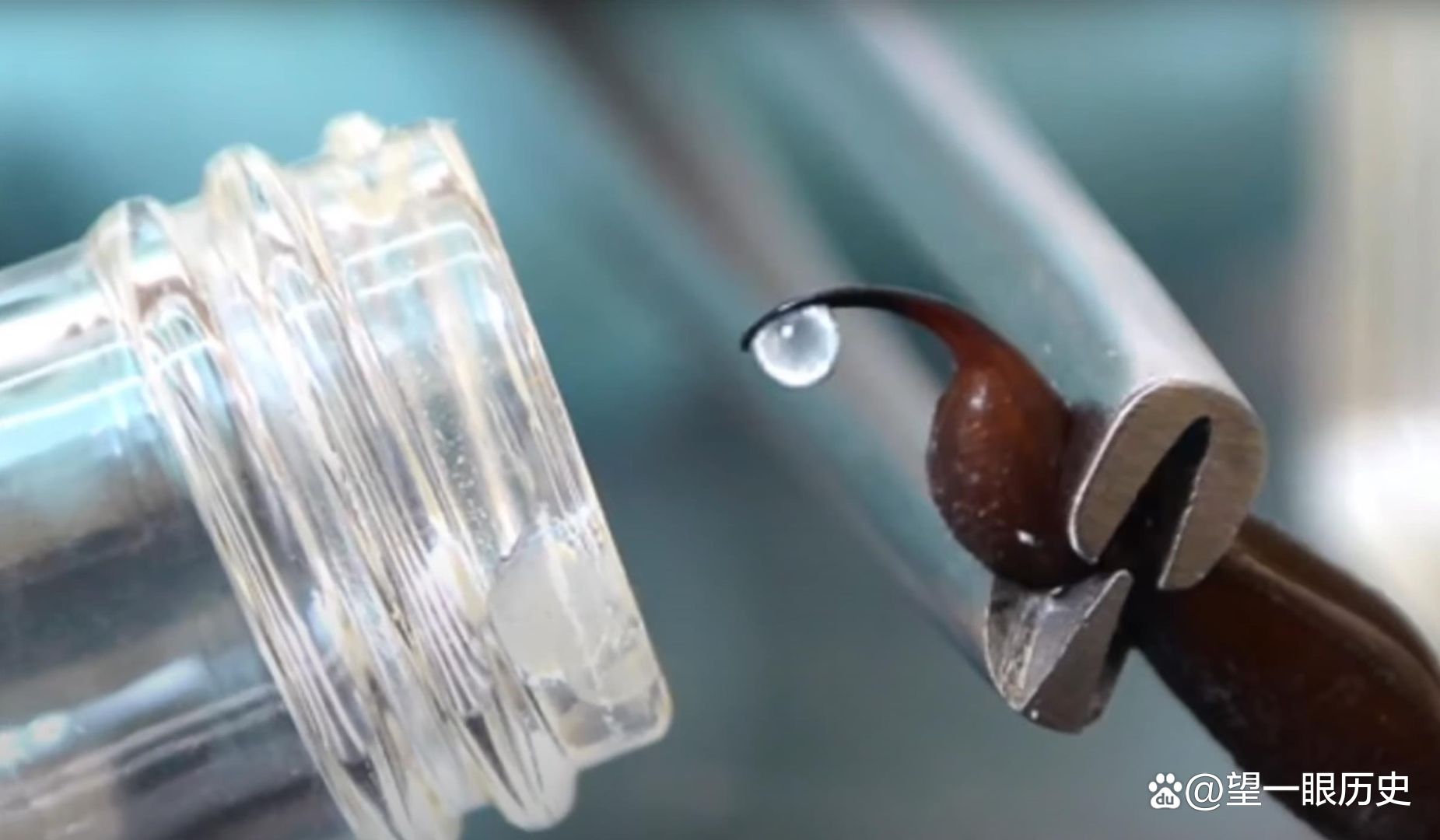 世界上最昂贵的液体，每升的血液值多少钱？告诉你答案