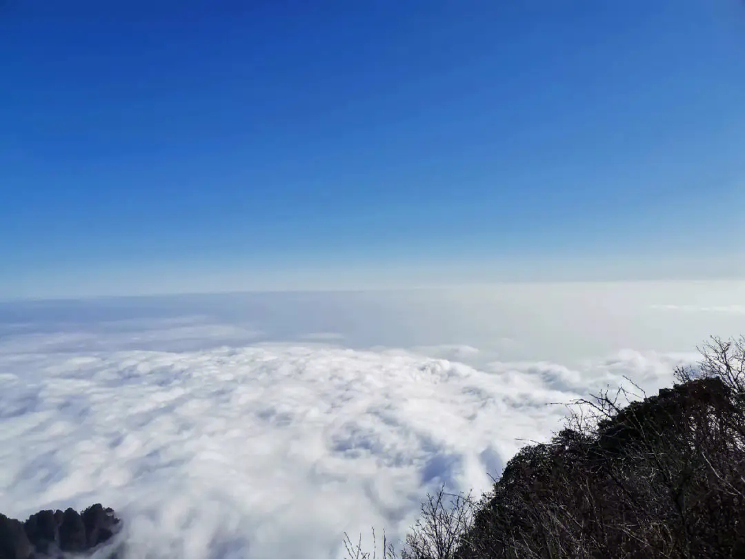 四川乐山大佛和峨眉山两日游攻略,成都出发乐山大佛峨眉山二日游