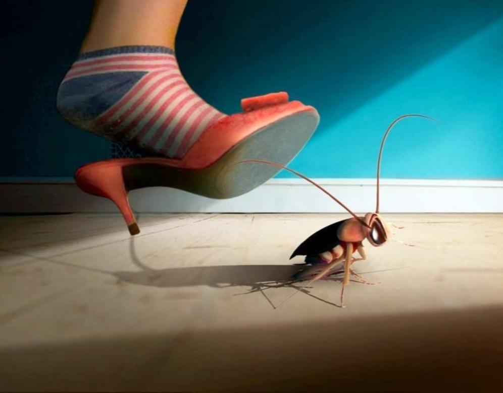 男子发现隔壁女租客房门口爬满蟑螂，开门一看吓懵：密密麻麻一屋