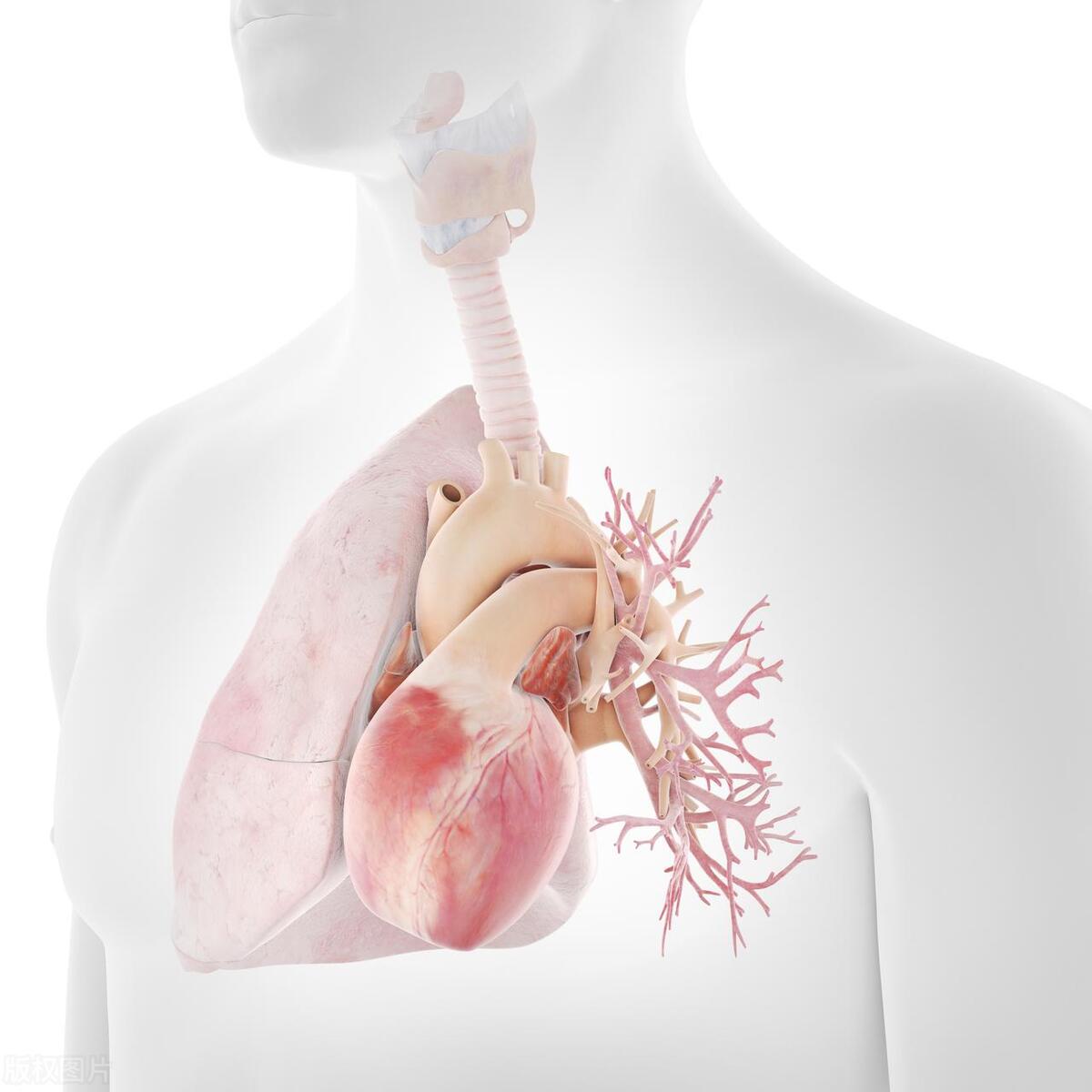 70岁公公每天吃孙子的蛋*粉白**，是营养品还是心血管杀手？一文说清