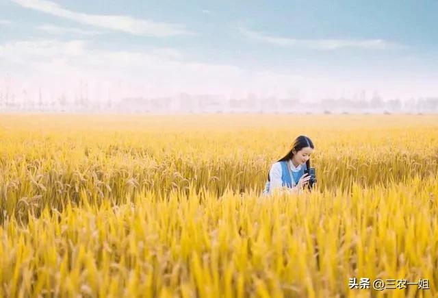 明日三月初一谷雨，“谷雨在月头，寡妇不用愁”，今年收成好吗