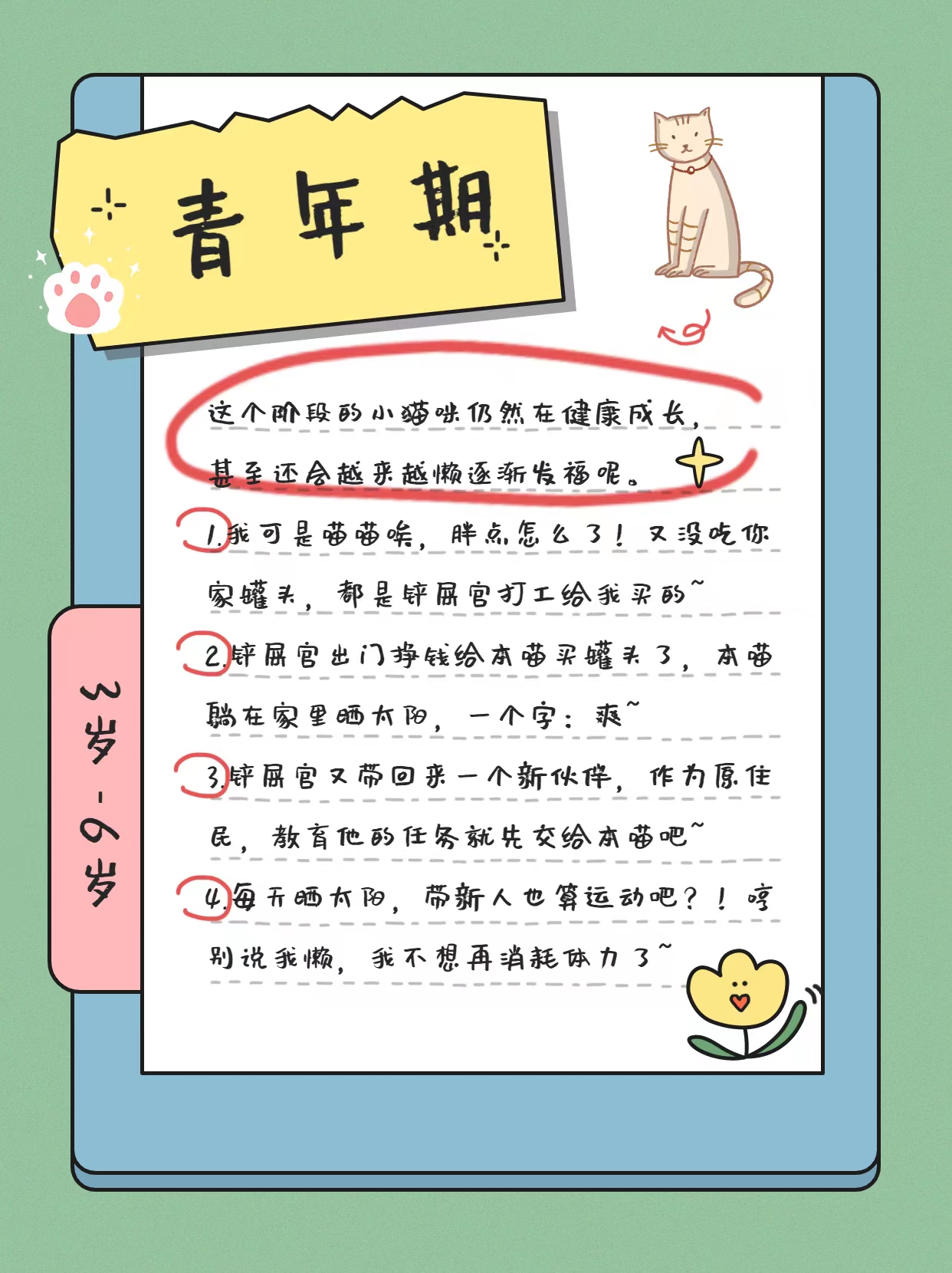 猫的一生详细讲解,猫的一生在想什么