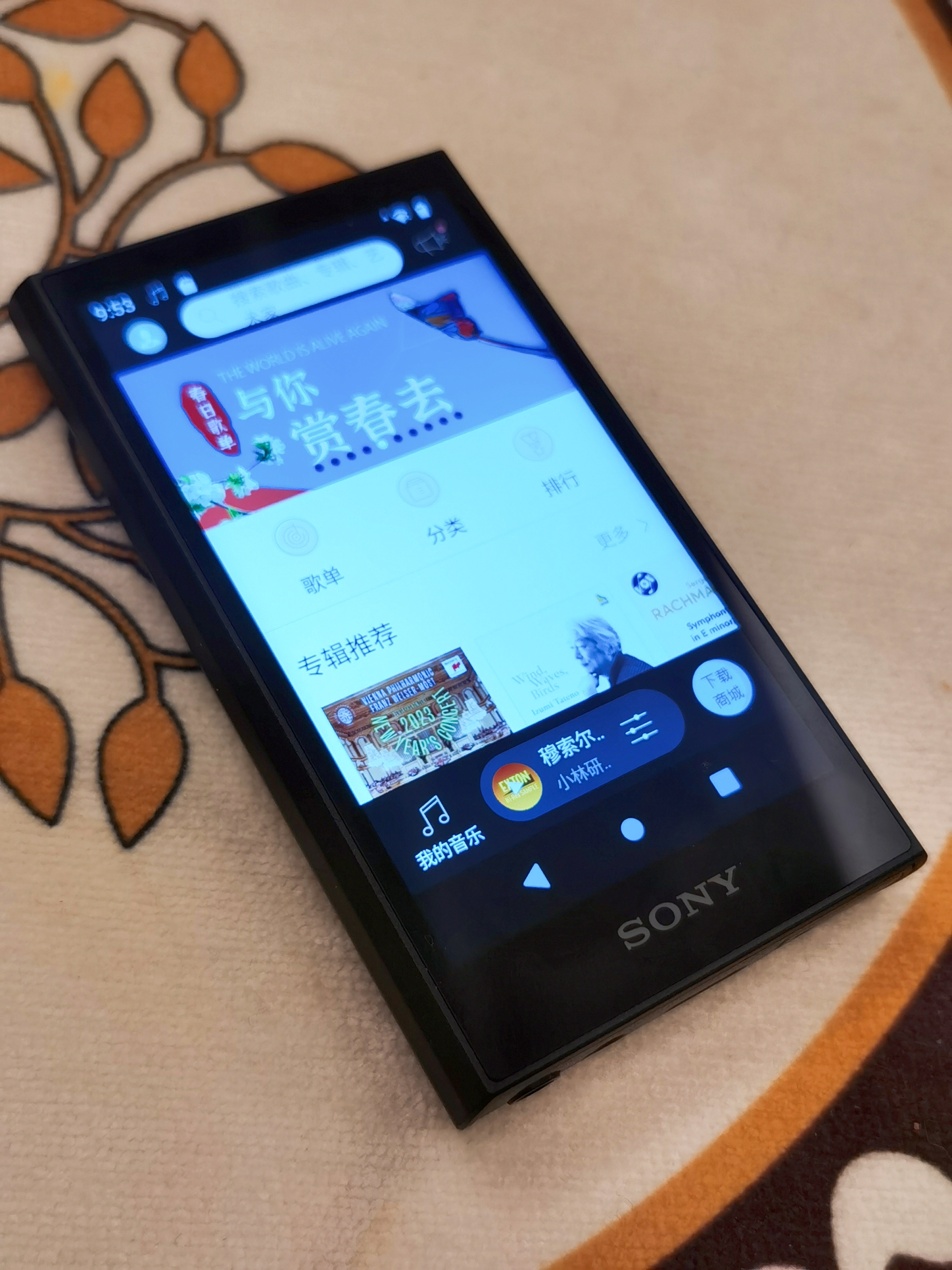 索尼nw-a306效果,索尼nw-a306applemusic