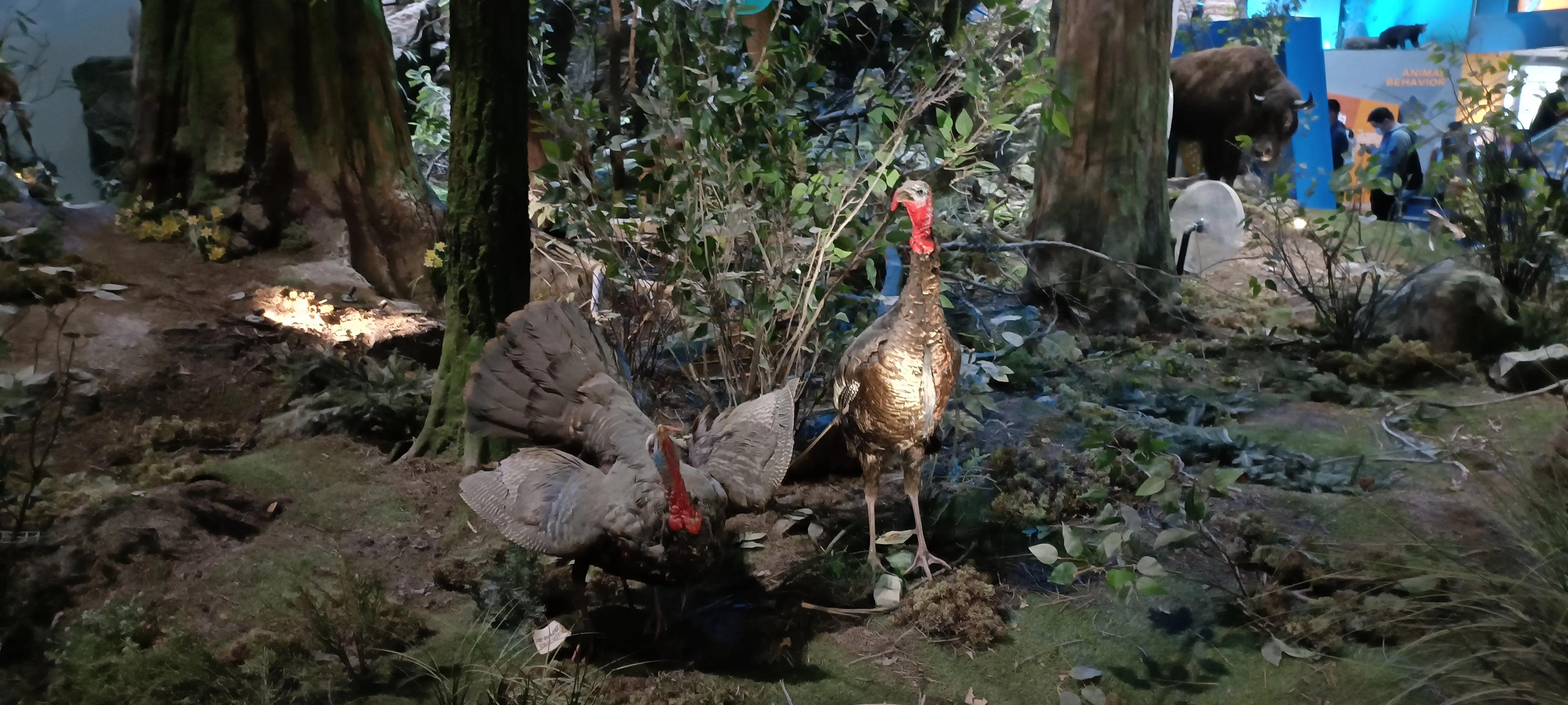 河南省科技馆新馆中标公示,河南省科技馆新馆预约门票