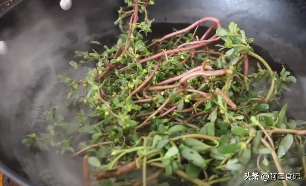 马齿苋都有怎样的做法来吃,马齿苋最好吃的做法大全