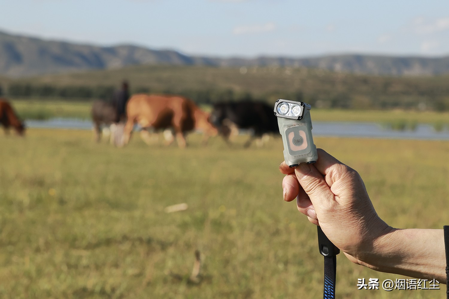 务本猫头鹰评测,猫头鹰聚光头灯