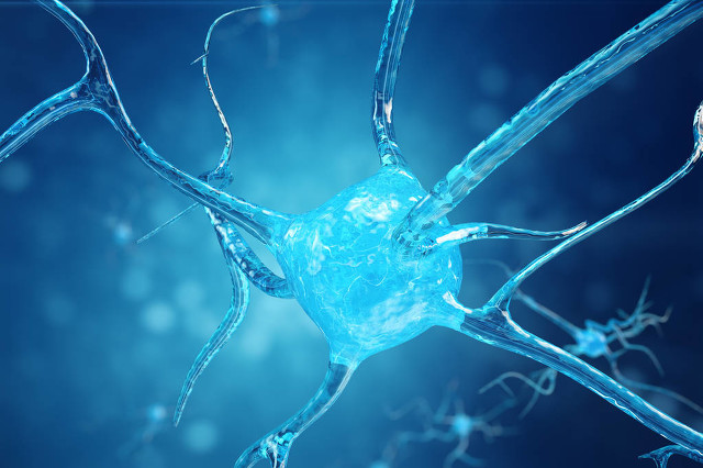 神经网络股票分析,神经网络股市预测准确率