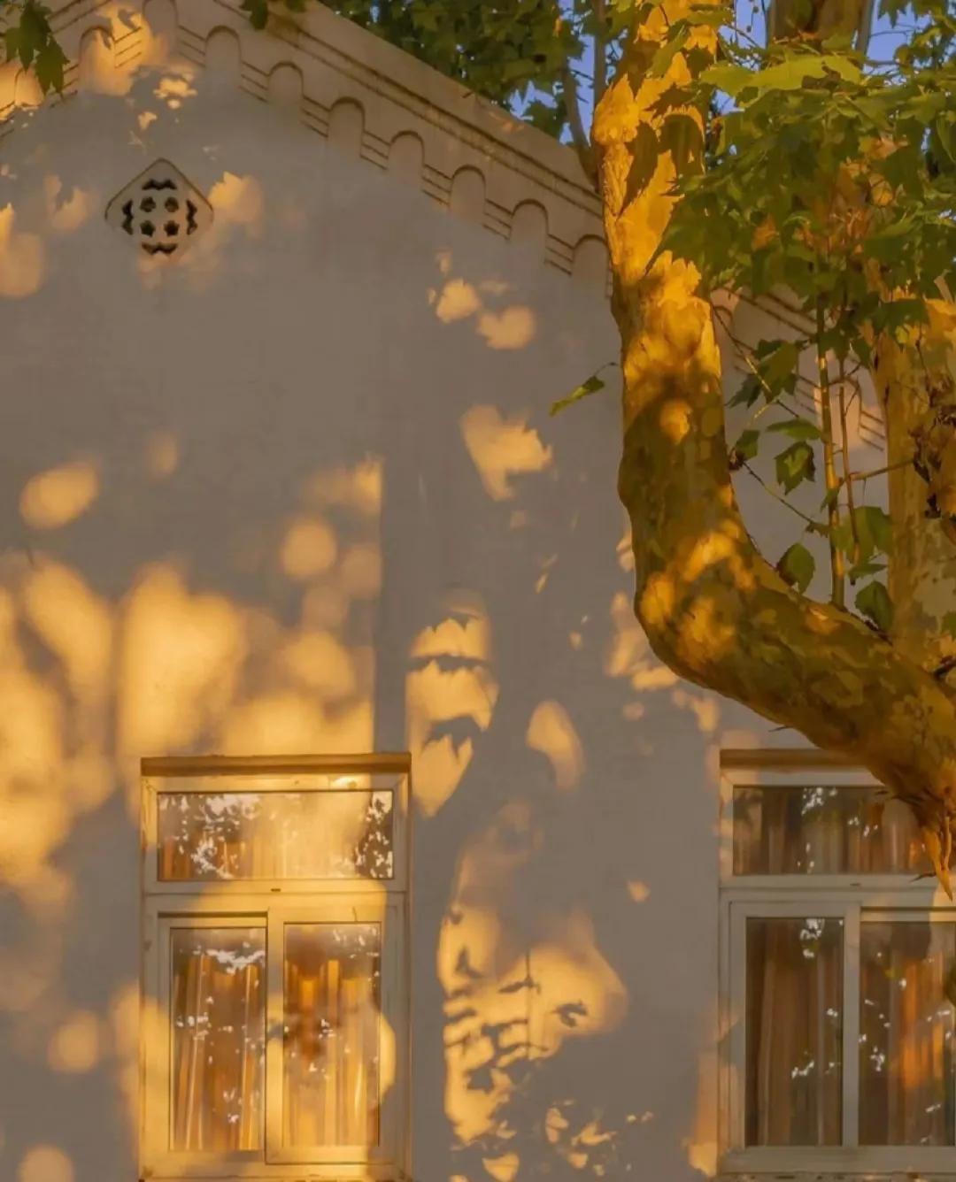 青岛不起眼高薪行业,高薪又稀缺却鲜为人知的职业