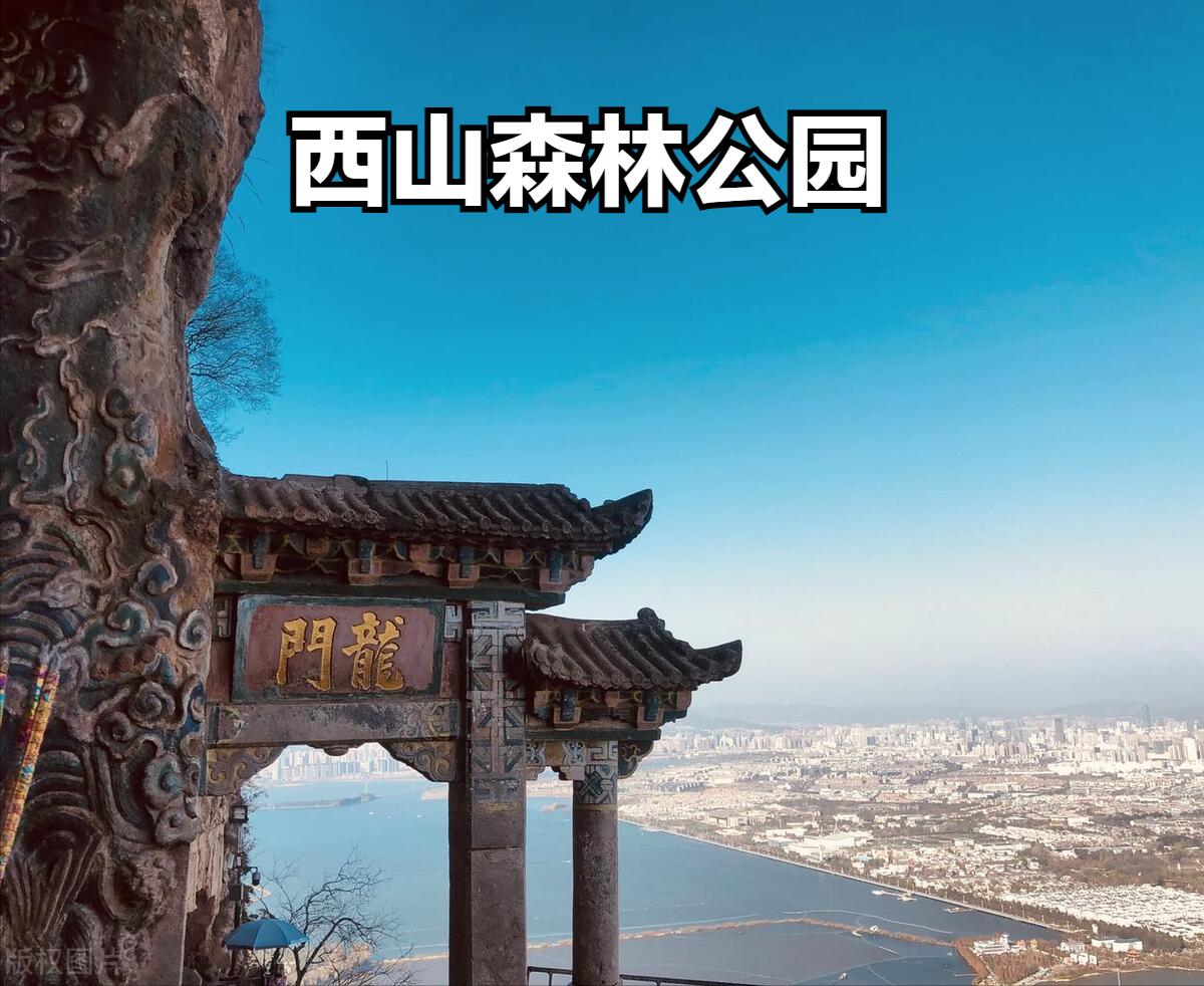 昆明旅游攻略旅游团,云南昆明旅游团有哪些