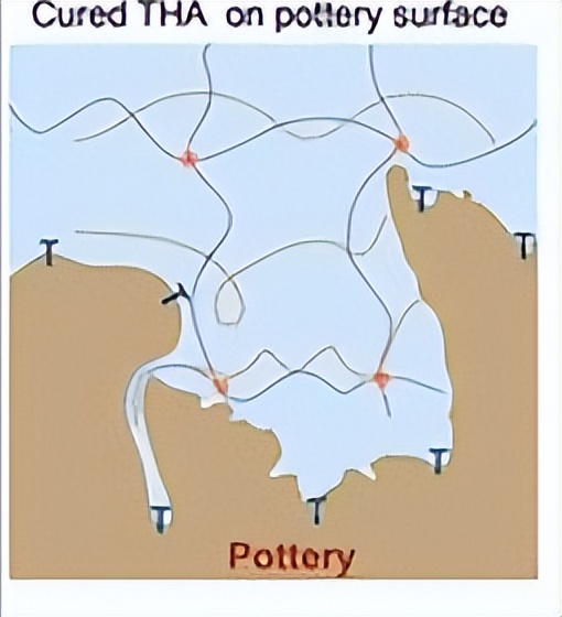 唾液酸与杜克雷嗜血杆菌周质结合蛋白之间相互作用的分子特征