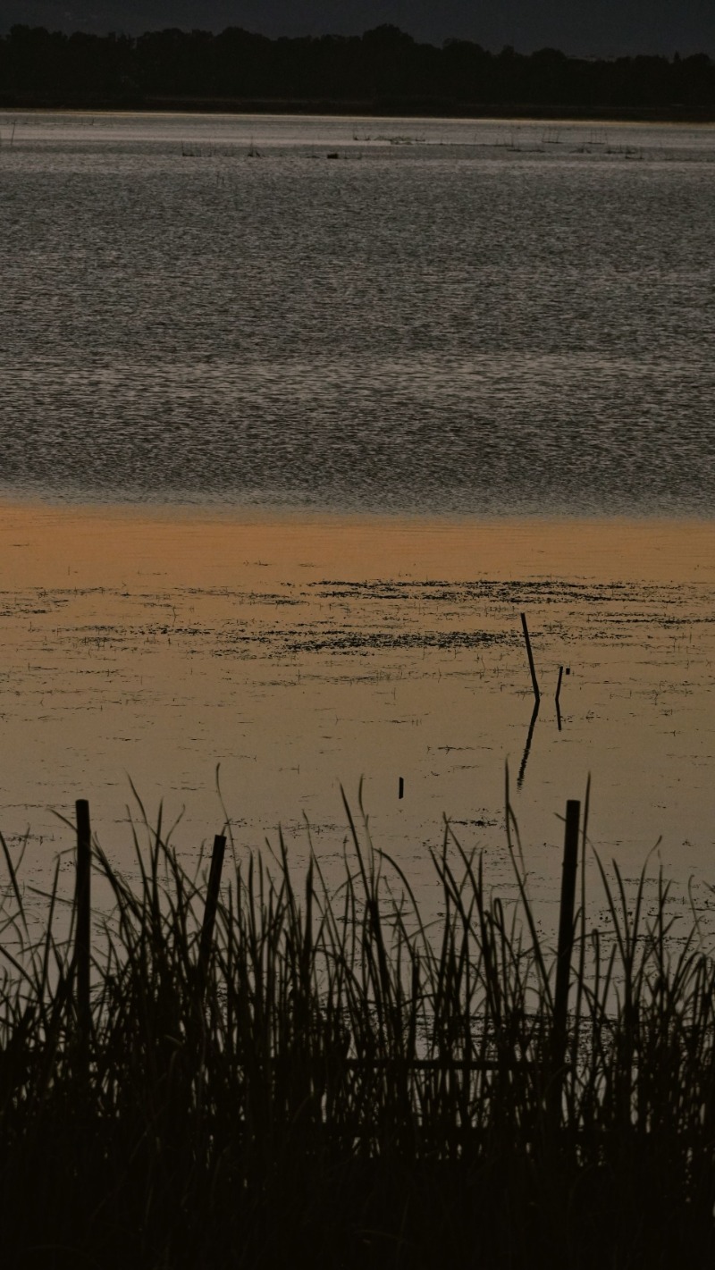 有一种周末快乐,叫到蒙自尼苏小镇吹海风、看日落!