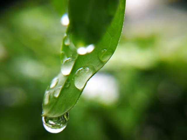 电商文案写作技巧有哪些内容,电商文案的写作步骤是怎样的