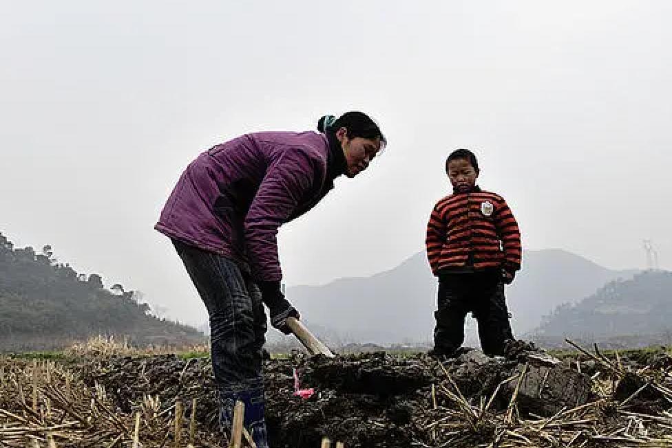 2009年河南一村民走访堂弟，推开门就看见尸体却很淡定：懒死的