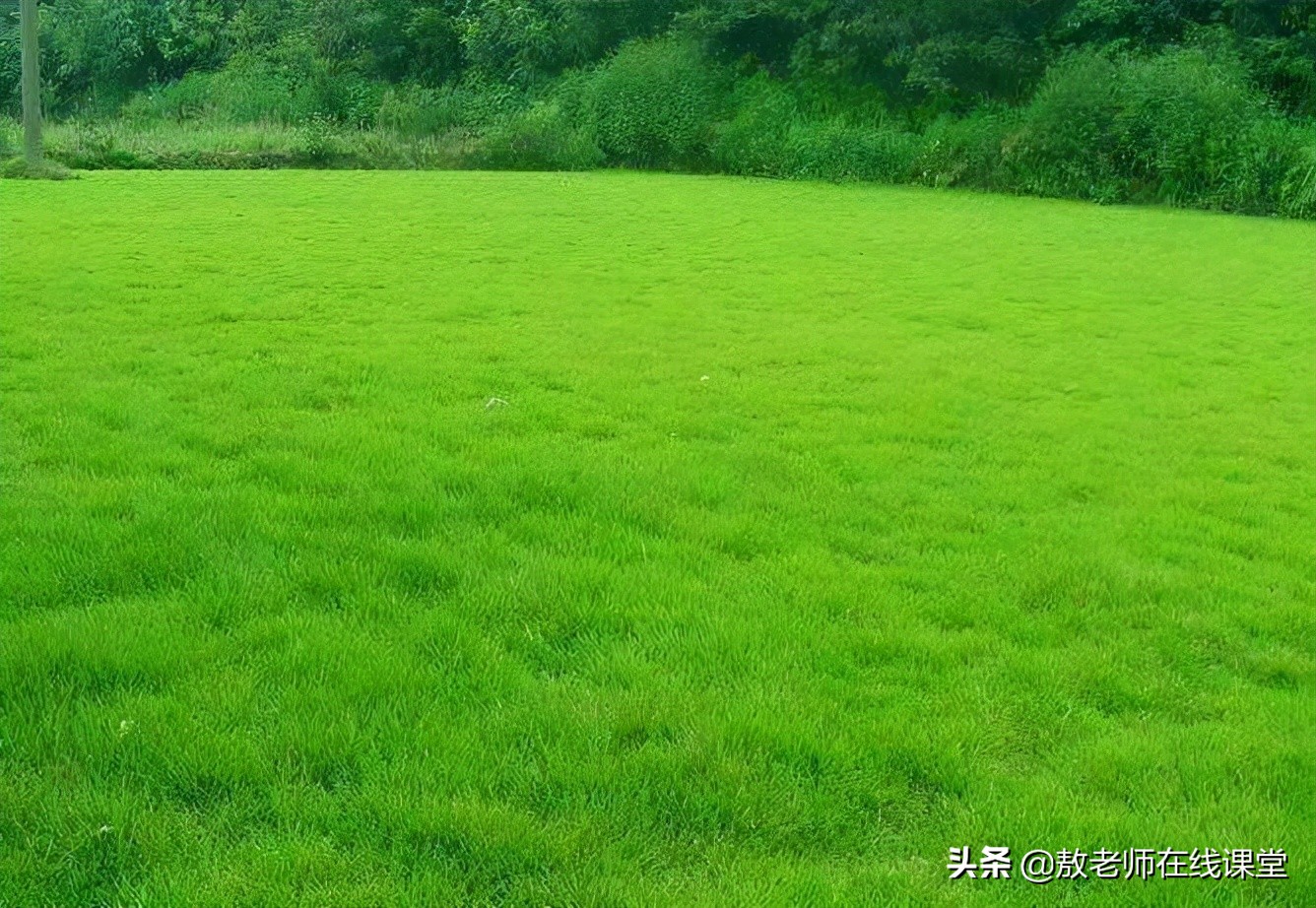 园林景观设计学习好物,园林景观造型专业知识