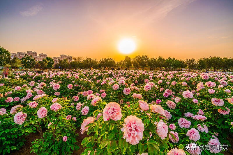 赏美景观非遗,赏美景尝美食