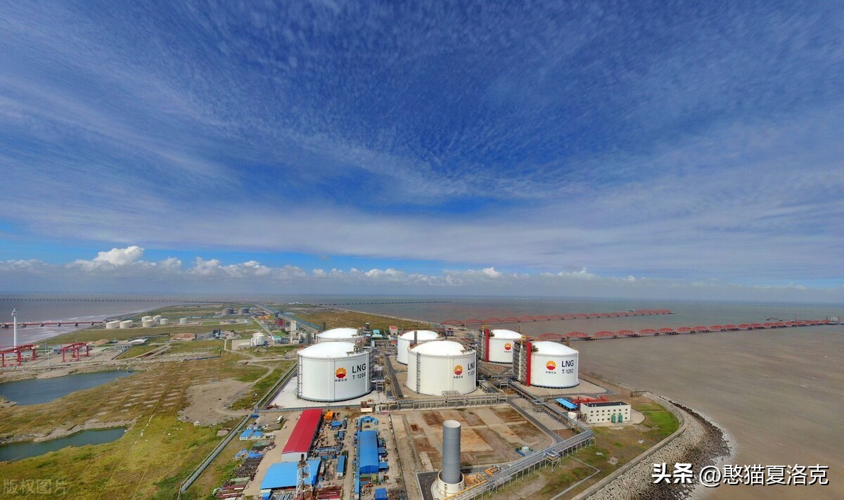 世界杯的草坪是真草吗,世界杯足球场草皮是硬的还是软的