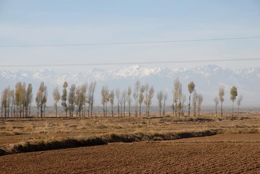 拖欠工程款的利息应该是多少利率,拖欠工程款主张什么利息合法
