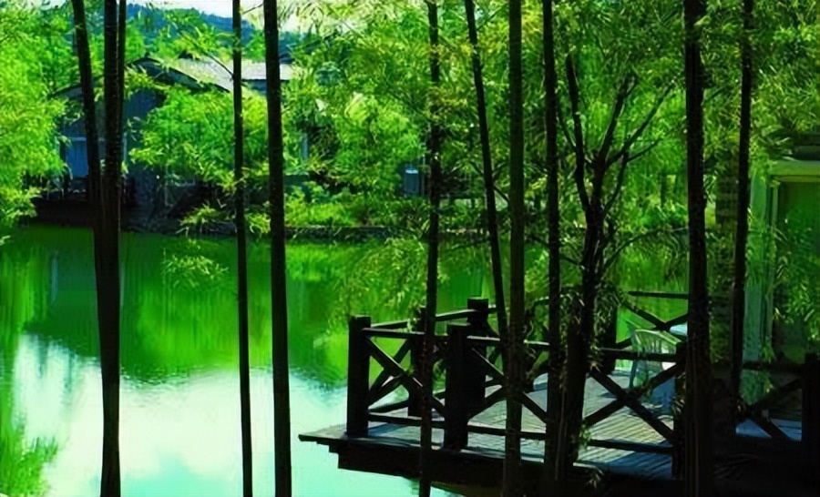 林海山水画作品欣赏,国内十大竹海排名